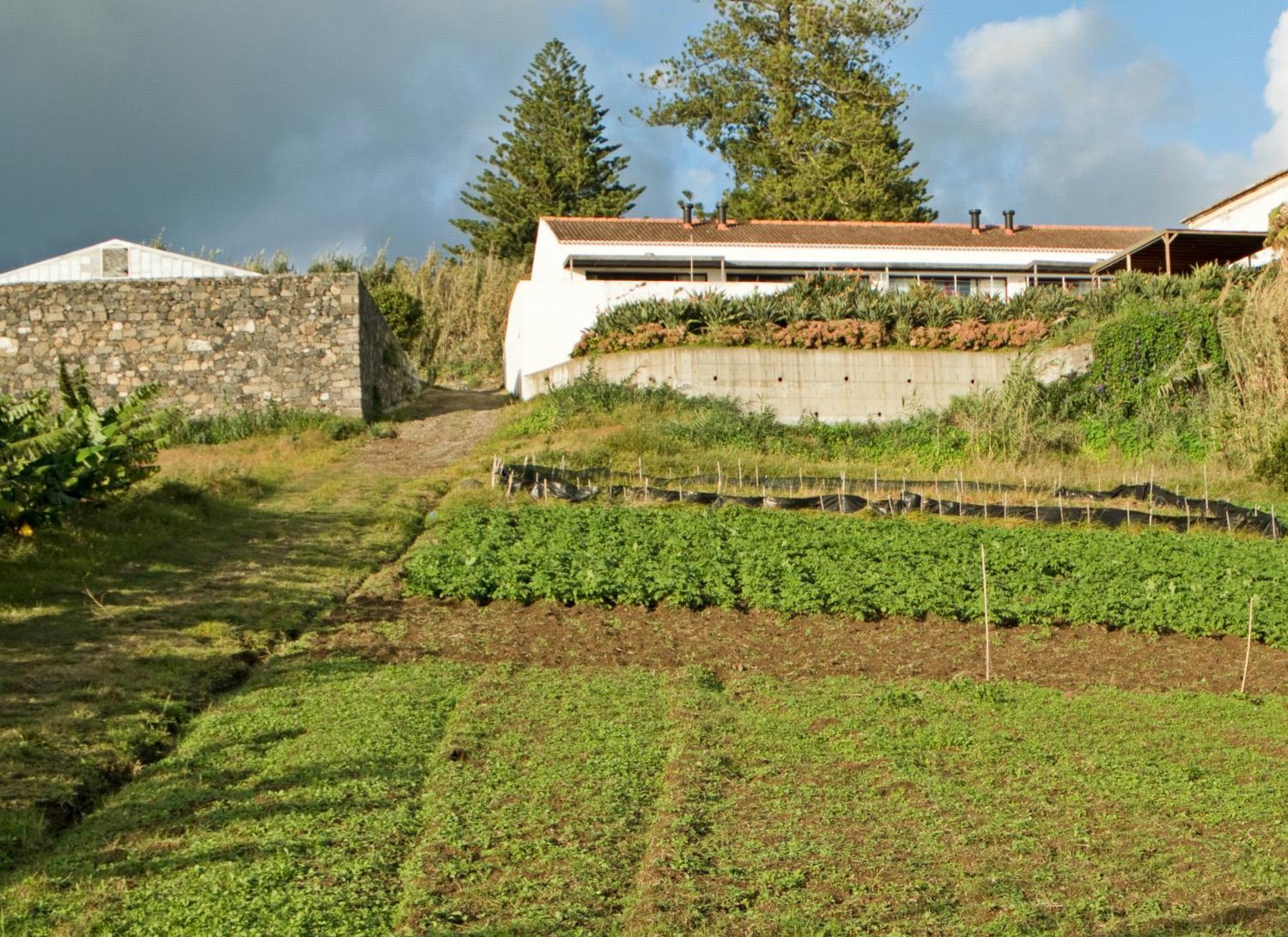 Qva - Quinta Velha Das Amoreiras Villa Vila Franca do Campo Exterior photo